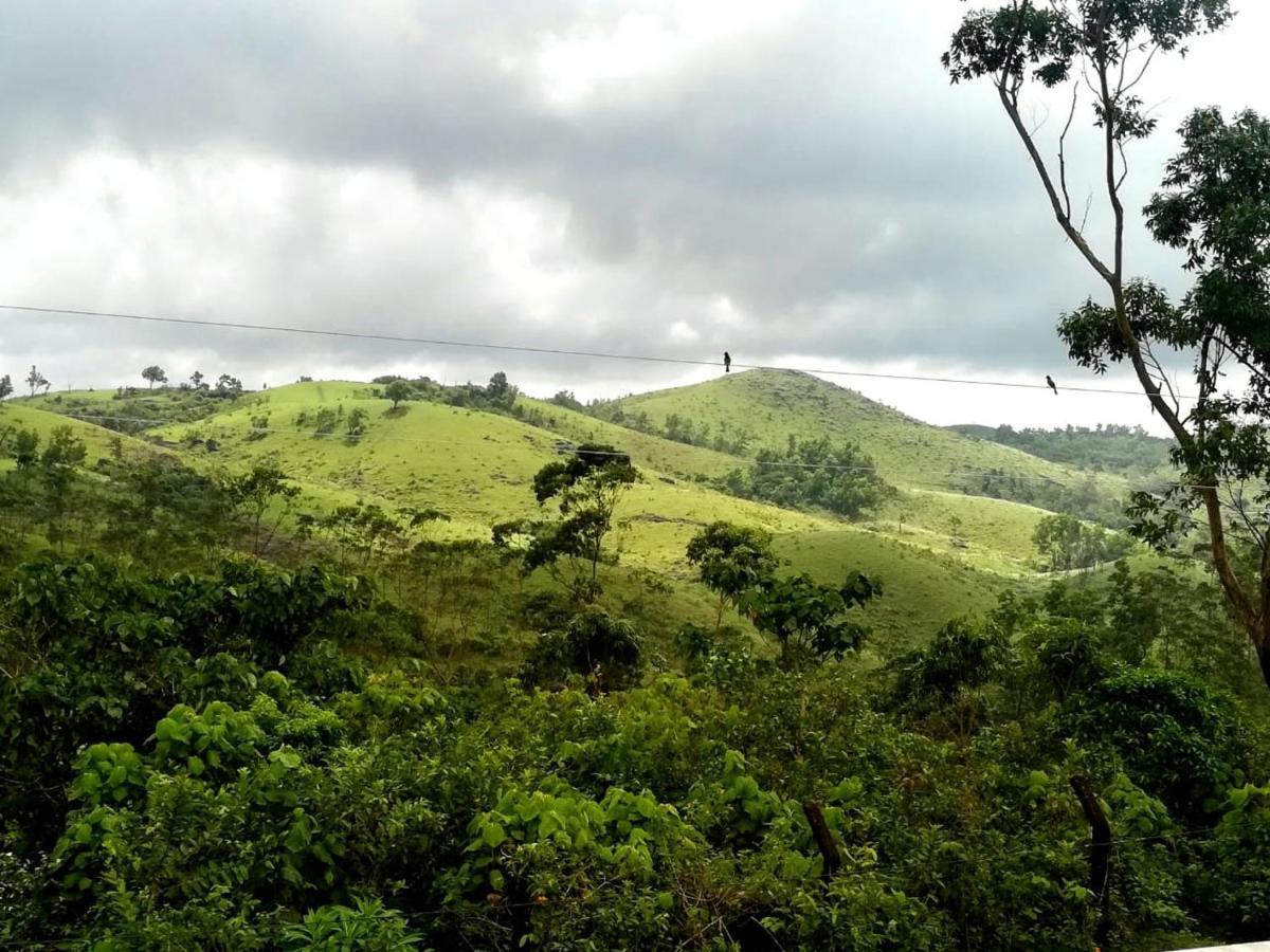 Winter Woods Apartment Vagamon Bagian luar foto