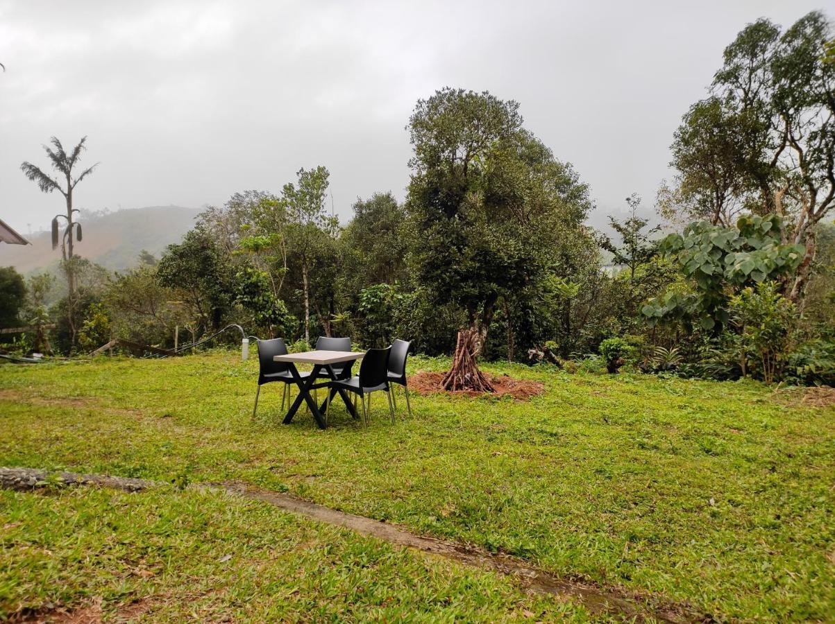 Winter Woods Apartment Vagamon Bagian luar foto