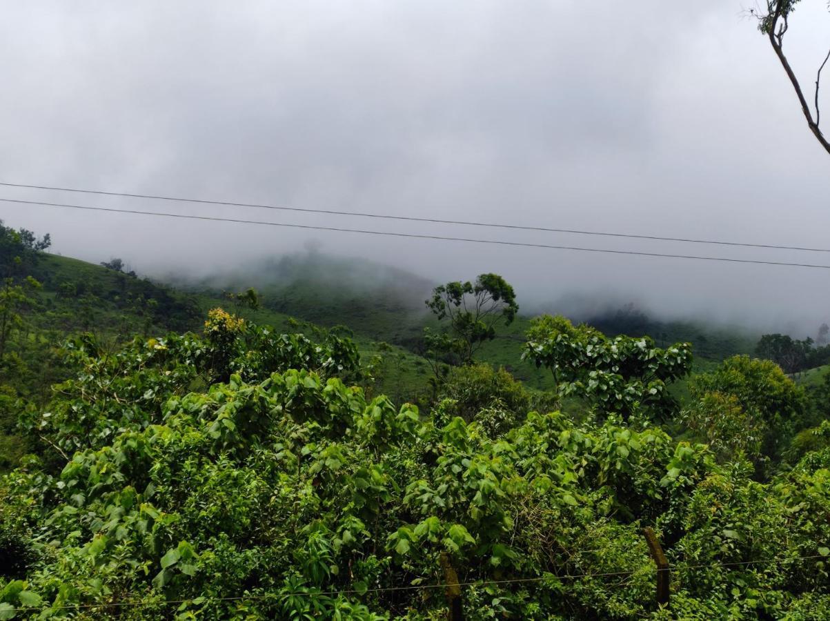 Winter Woods Apartment Vagamon Ruang foto