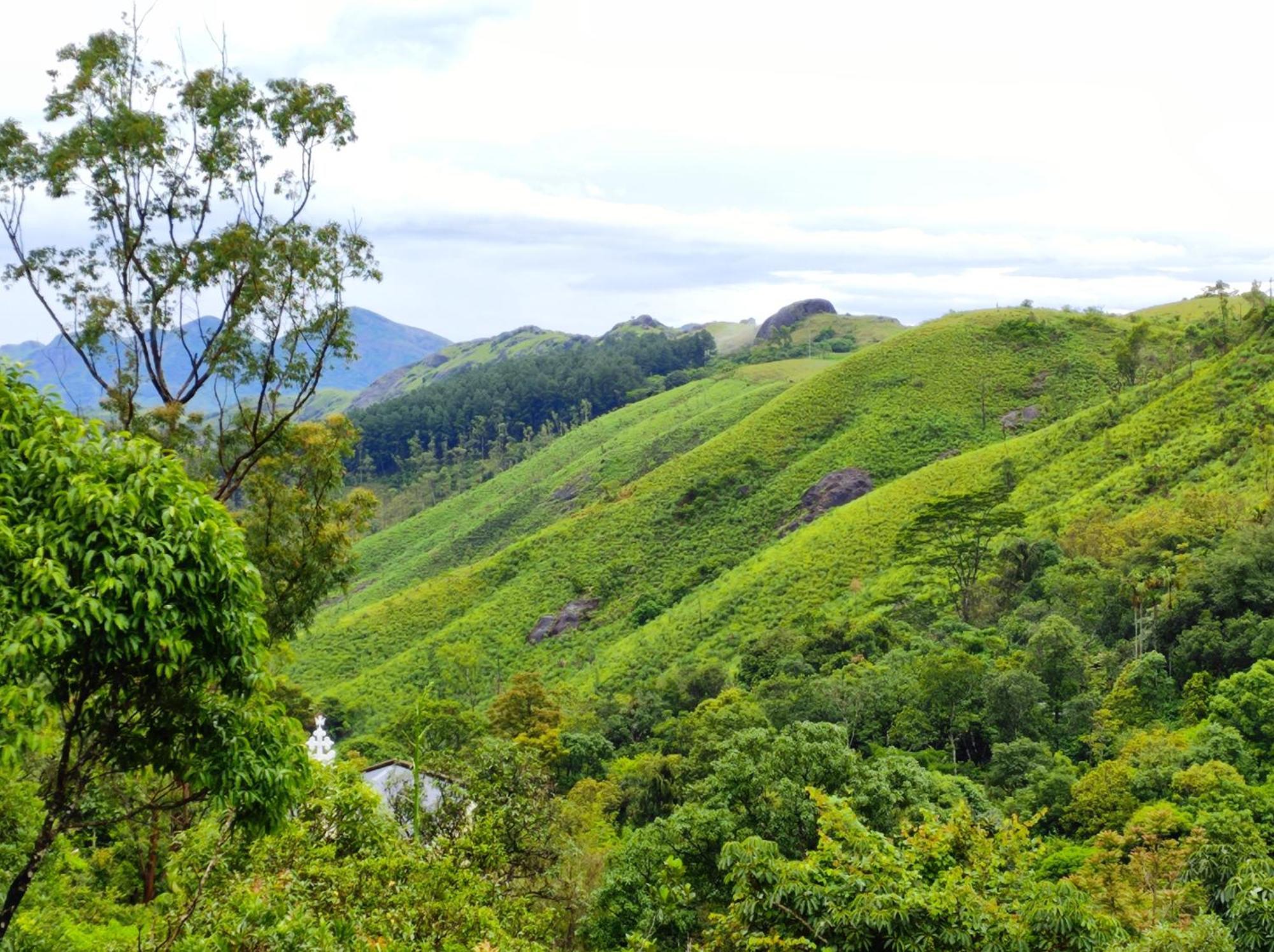 Winter Woods Apartment Vagamon Bagian luar foto