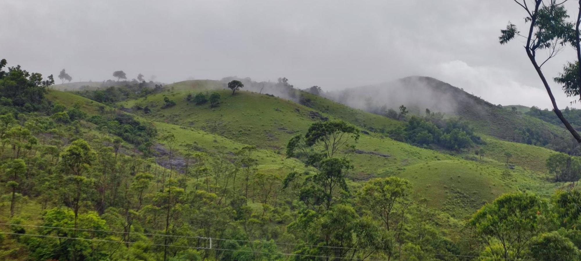 Winter Woods Apartment Vagamon Ruang foto